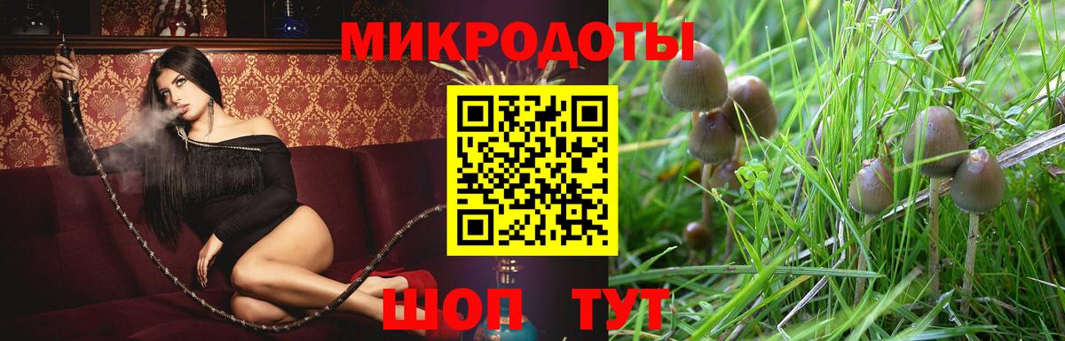 Галлюциногенные грибы прущие грибы Октябрьский