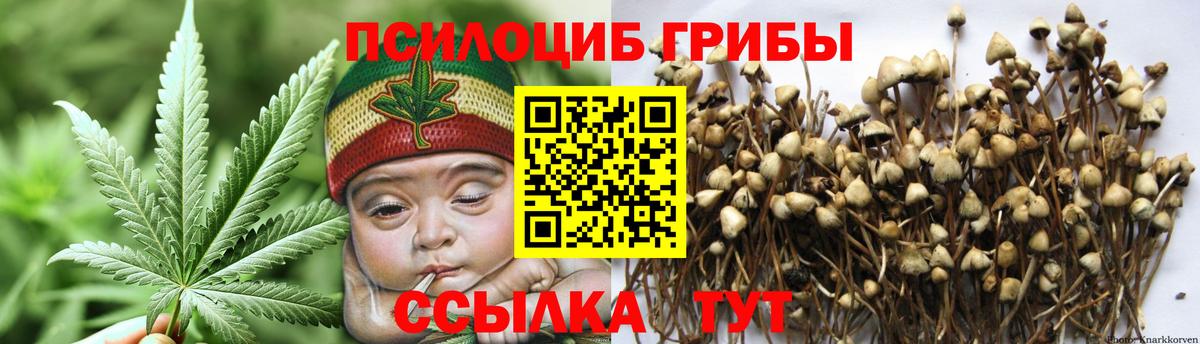 Псилоцибиновые грибы мицелий  Вход с VPN  Галлюциногенные грибы GOLDEN TEACHER  Октябрьский 