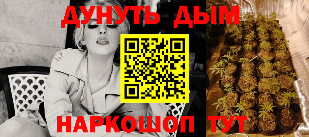 Марихуана SATIVA & INDICA  МАРИХУАНА семена  Каннабис VHQ  Октябрьский  Вход с VPN  Канабис план 